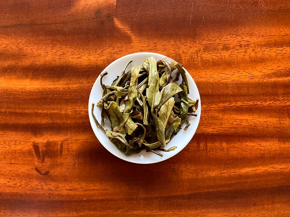 Thumbnail: Giàng Pằng Autumn 2023