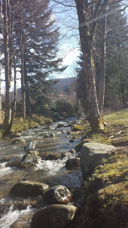 20150406_102542