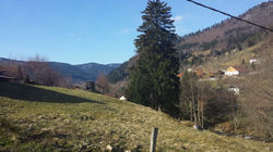 20150406_100945