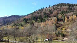 20151105_130913