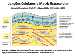 Slide5