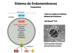 Slide102