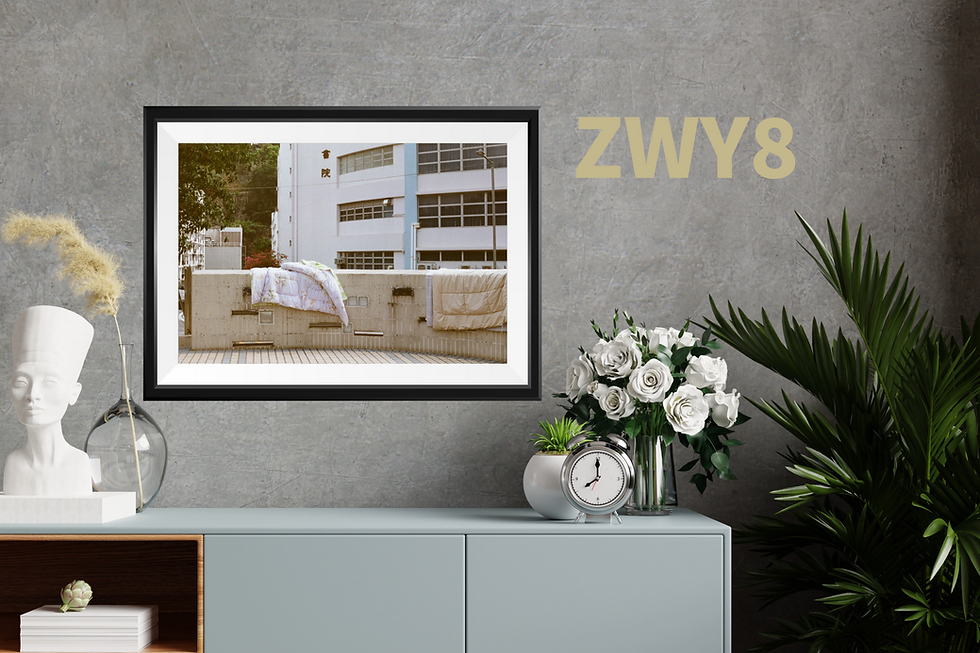 Thumbnail: FC Kowloon x Robin Zweydinger - A3 Print - Shek Kip Mei Collection
