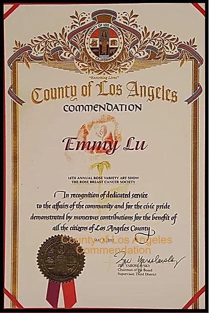 City of Los Angeles Commendation
