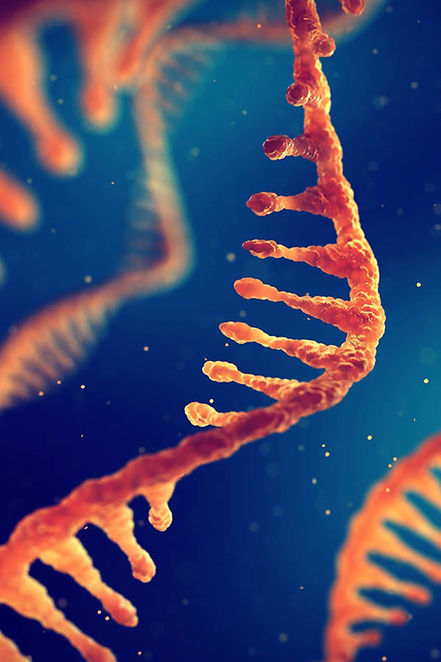 gRNA CRISPR.jpg