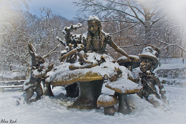 37 Alice in Wonderland.jpg