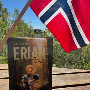 Til Bokhandelen og forbi