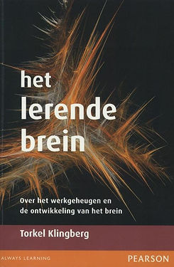 het lerende brein.jpg