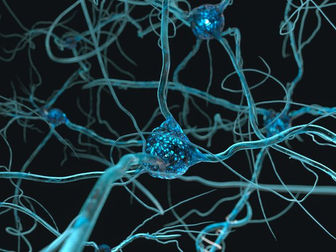 Neuronen, neuronnetwerken en communicatie tussen neuronen