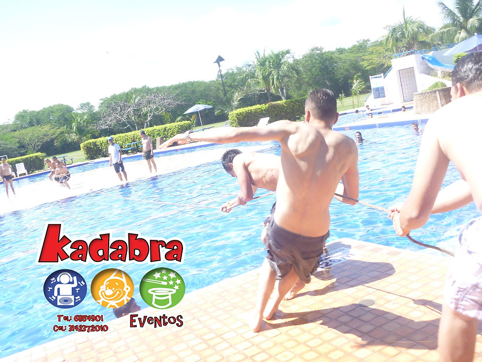 Bingo Bailable