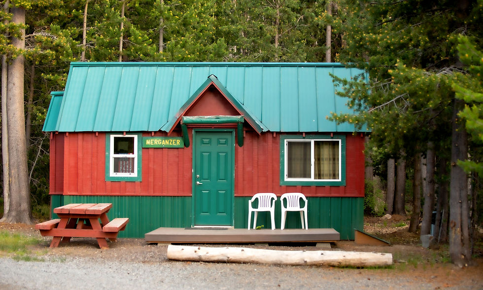CABIN-MERGANZER copy
