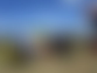 The 2024 Ottawa Carleton Plowmen’s Association (OCPA) Plowing Match results | Résultats du concours de labour du Ottawa Carleton Plowmen's Association (OCPA) 2024 (Sarsfield, Ontario)