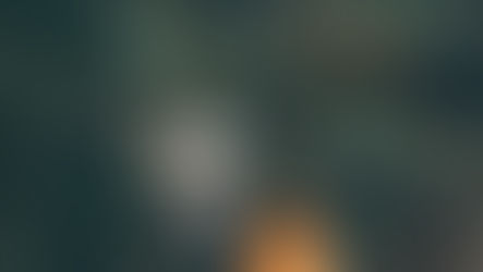 Special City Council meeting to be held on January 14: to provide Ottawa Council (behind closed doors) an update on the acquisition of the Capital Region Resource Recovery Centre.