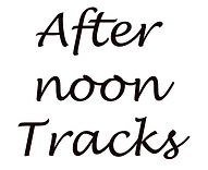 afternoon tracks.jpg