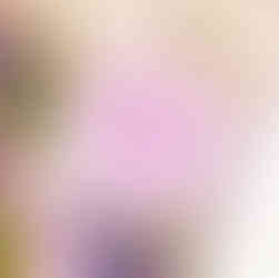 Awesome Botanical - Cinmi's flatly - Lavender Whipped Soap