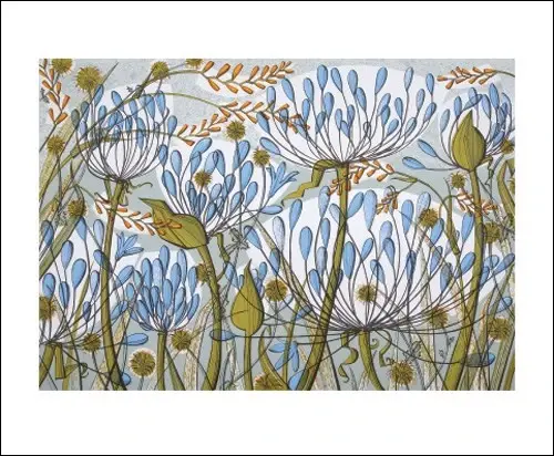 Agapanthus II Screenprint by Angie Lewin