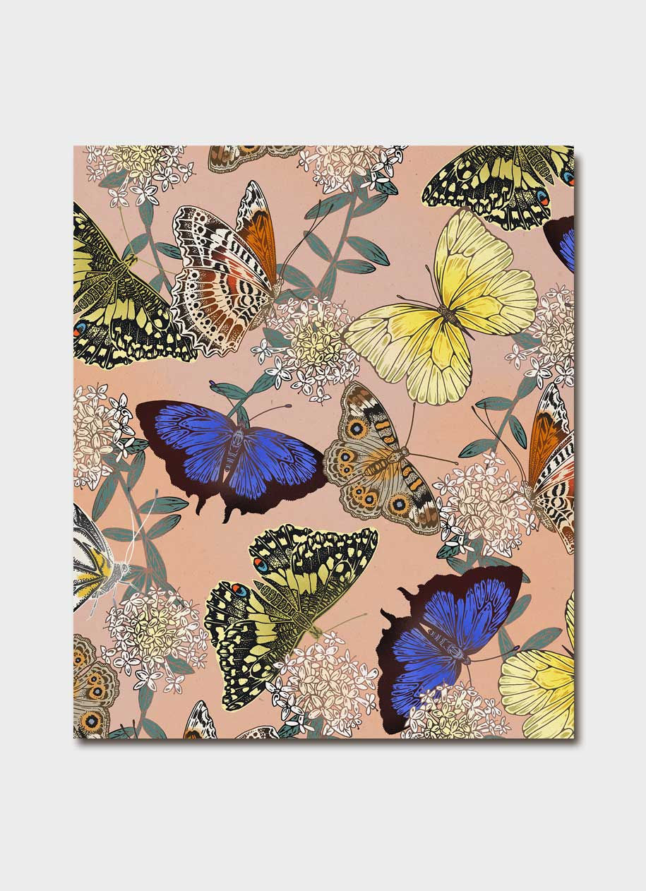 Butterflies by Eloise Short