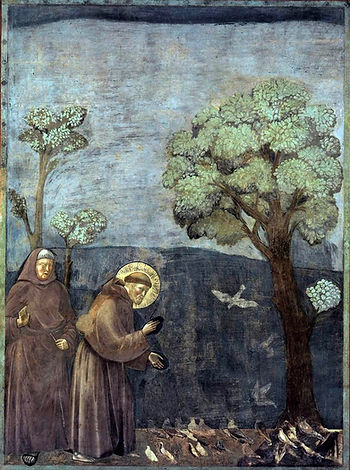 Monk talking to birds
