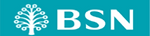 BSN.png