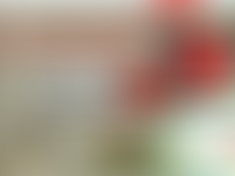 Taniah Boss Menang Besar RM15,000.00 Dalam Game LUCKY PALACE