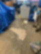 Man Carpet cleaning