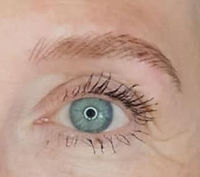 microblading.jpeg