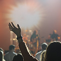Cheering Audience at Concert