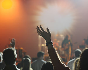 Cheering Audience at Concert