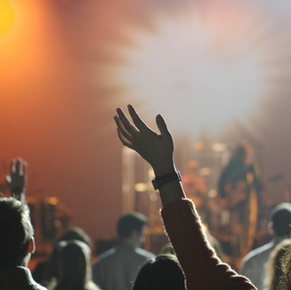 Cheering Audience at Concert