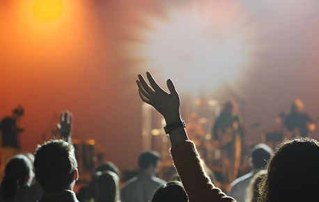 Cheering Audience at Concert