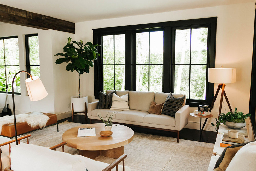 Design within reach sofa, nevo sofa distrikt chairs, leather ottoman, and large fiddle leaf fig tree