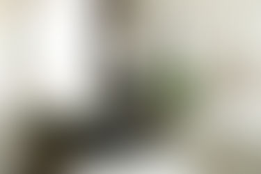 Cozy bedroom with a wooden desk, green chair, lamp, and potted plant. A mirror reflects light, and a neatly made bed is nearby. Calm ambiance.