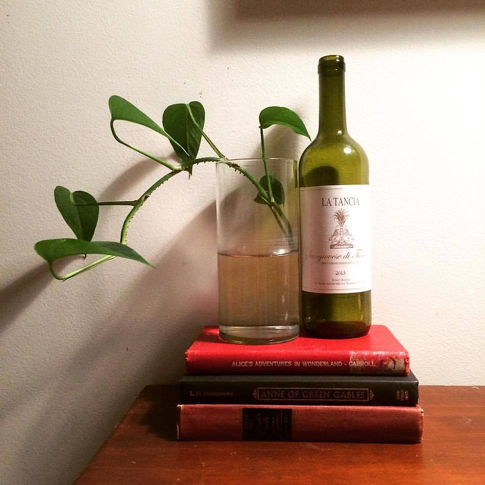 A wine bottle and plant atop a stack of books.