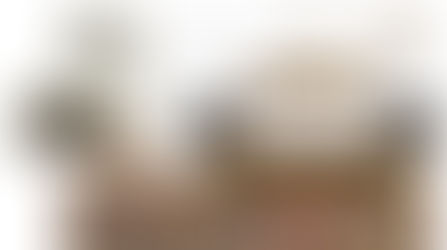 A Virtual Bedroom Re-Design for a Day Session Client