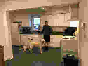 A before shot of the kitchen.