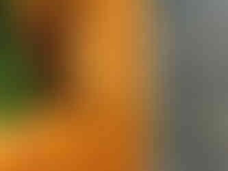 original pine floor with vintage green rug