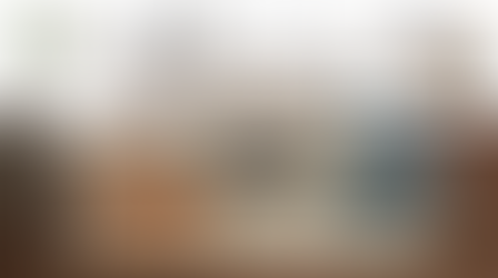 Living room design with beige sectional, brown leather chair, blue armchairs, coffee table, floor lamp, rug, potted plant, and decor items.