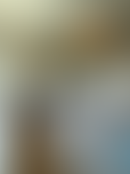 Bright room with a kids bed, a window seat with cushions, and a view of trees and water outside. Neutral tones and a cozy atmosphere.