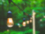 String lights hanging in a backyard.