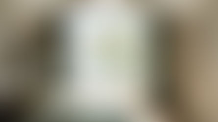 Watch us take this Primary Bedroom from "Blah" to "BAM!" (Ridgemont House Reveal!)