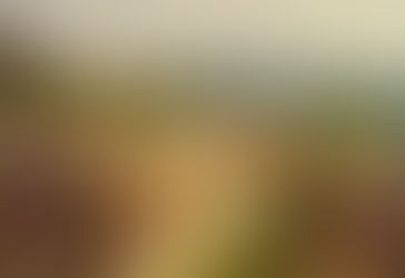 NOT THE YUGOSLAVS I REMEMBER