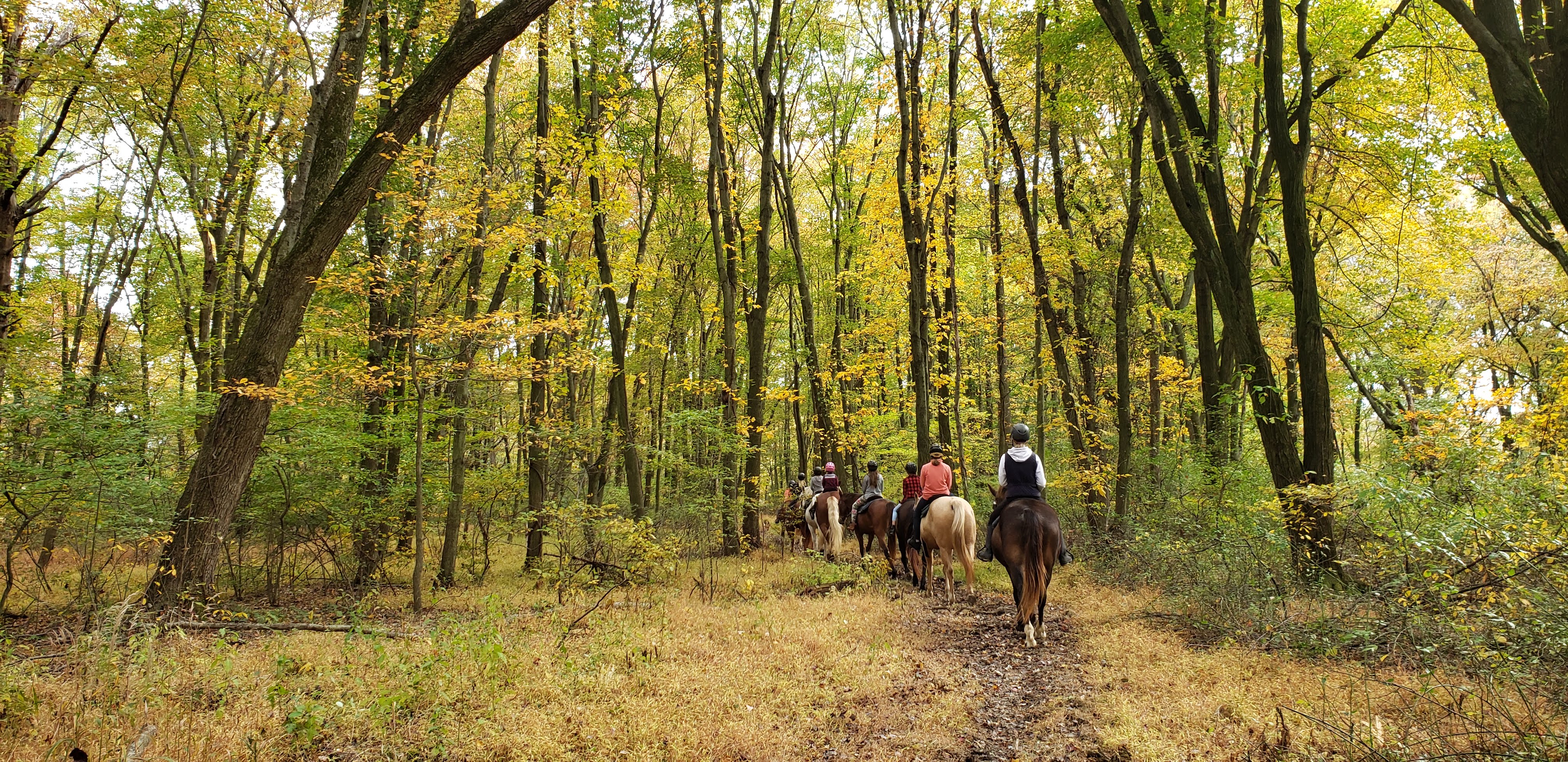 Fairwinds Farm & Stables Horseback Riding Summer Camp