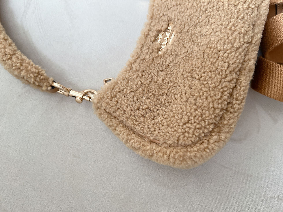 Thumbnail: Coach 2- Way Bag