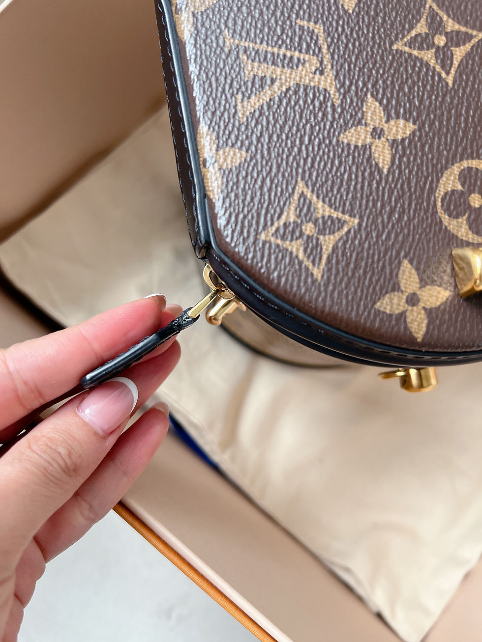 Thumbnail: Louis Vuitton Cannes Reverse