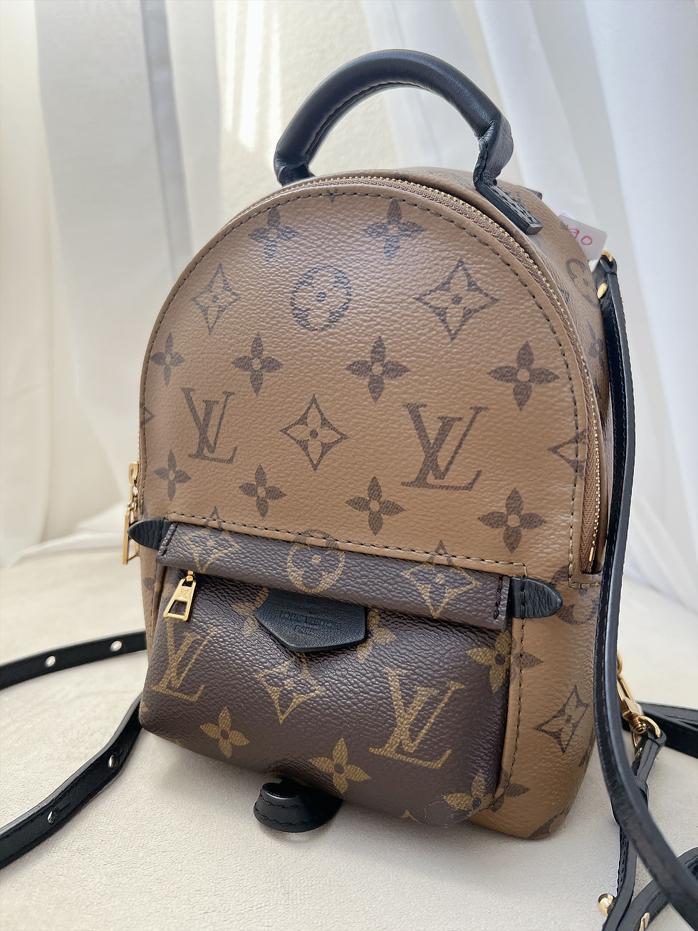 Thumbnail: Louis Vuitton Palm Spring PM
