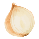 Half White Onion