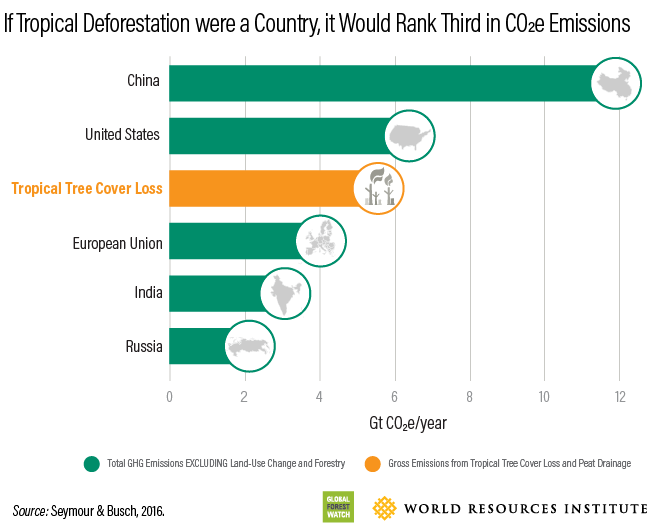 Deforestation carbon levels