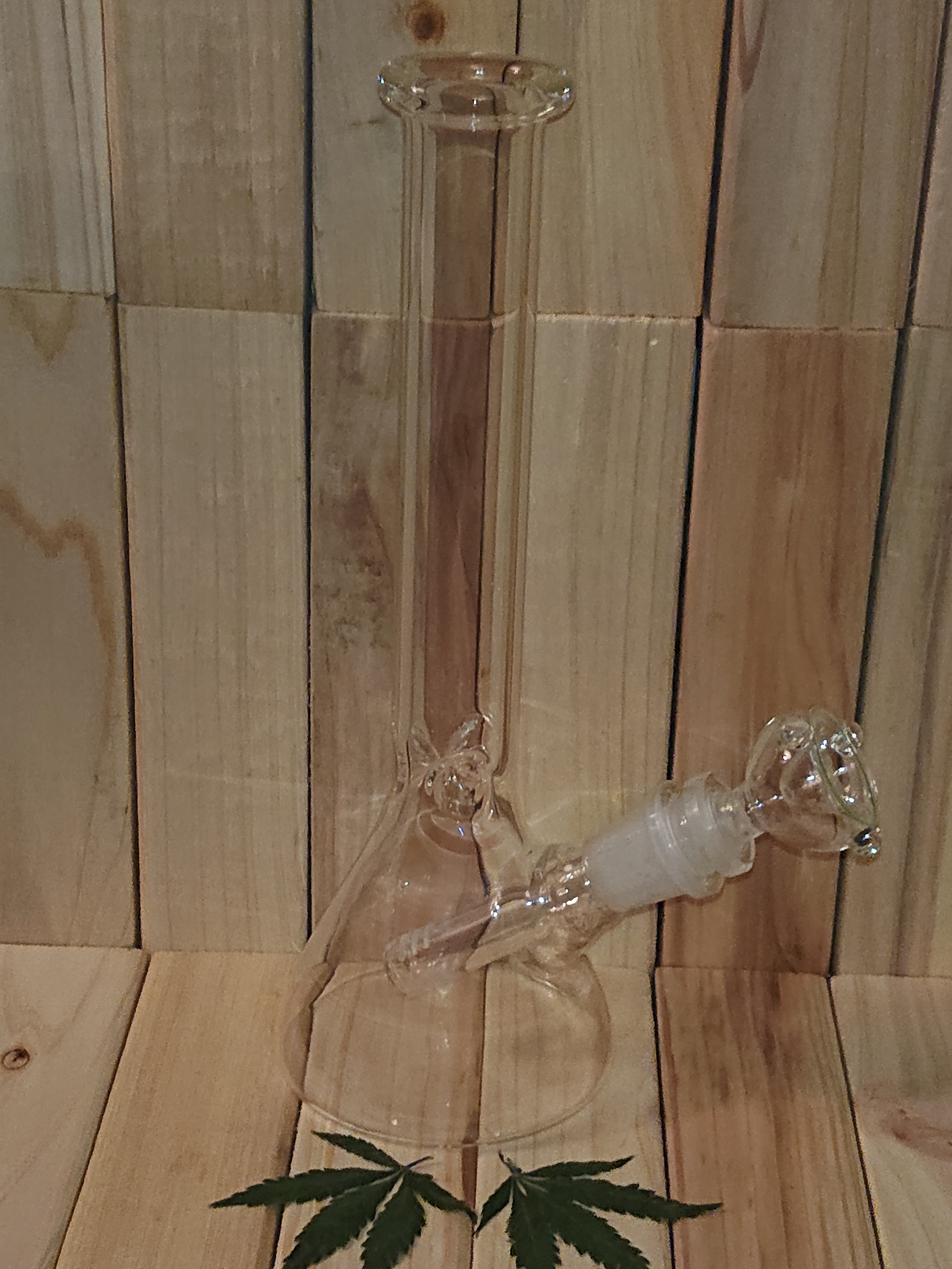 Glass Beaker Bong