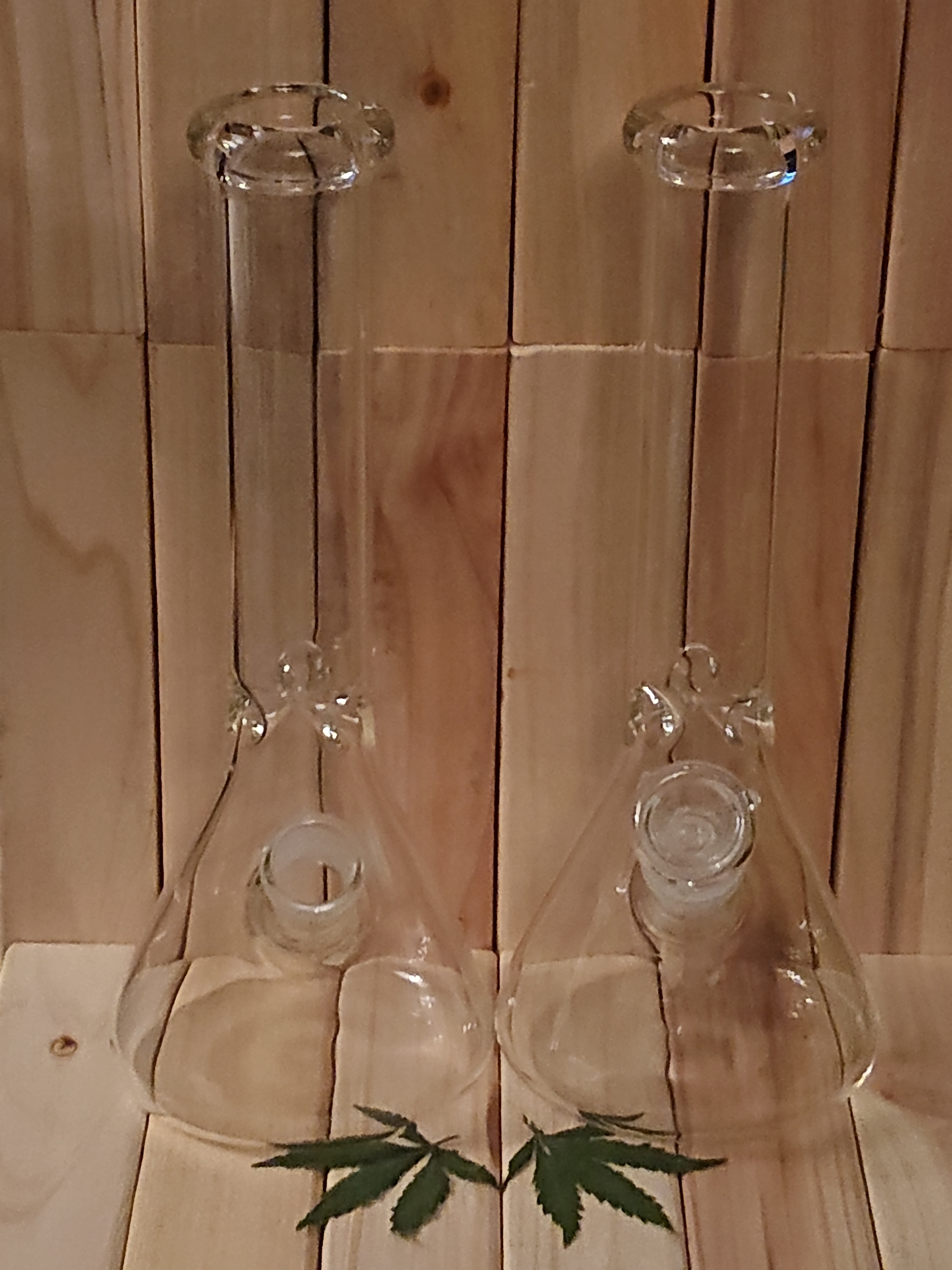 Glass Beaker Bong