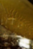 IMG_9965.jpeg